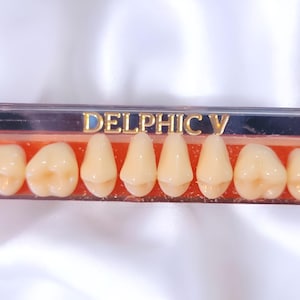 Vintage Artificial Teeth Shade A3.5 Dental Synthetic Acrylic Resin Denture Retro False Teeth, Faux Teeth For Crafting, Weird Teeth Gift