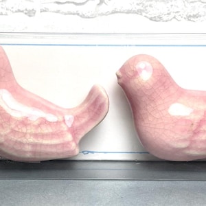 Puede incluir: Dos figuras de pájaros rosas de cerámica con acabado craquelado, presentadas en una caja de plástico transparente. Los pájaros tienen un diseño sencillo, con alas y colas. El fondo incluye una tarjeta blanca con un borde azul.