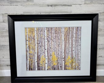 Matted Framed Aspen Tree Art