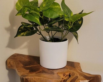 Live Edge Floating Shelf