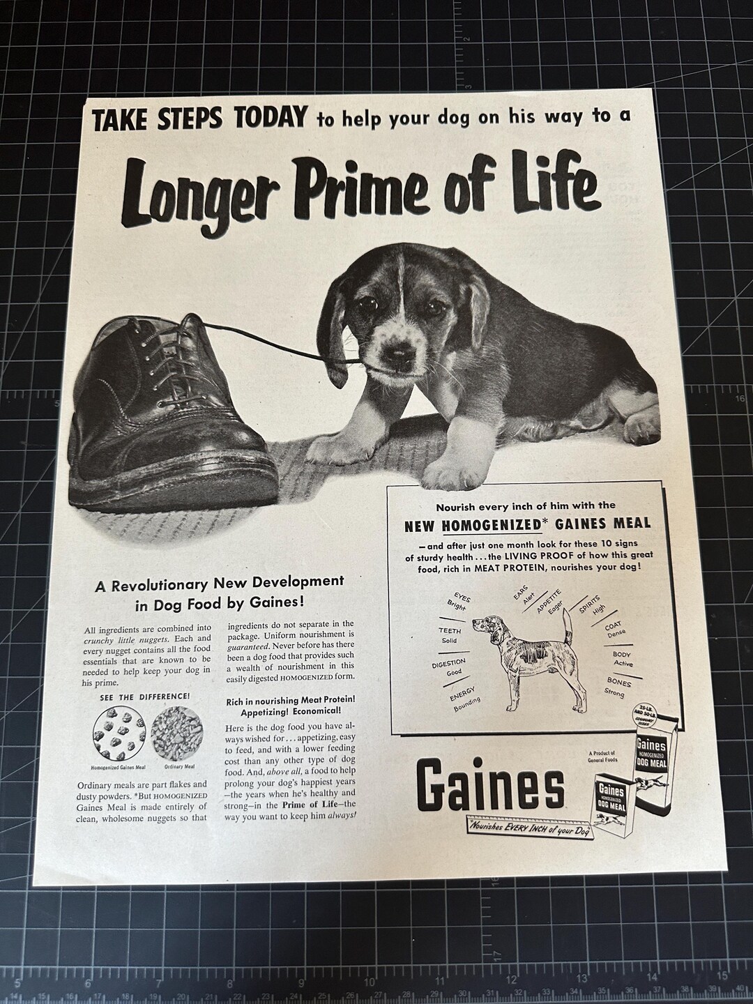 1950s Gaines Dog Food Original Vintage Advertisement Etsy 1950s-gaines-dog-food-original-vintage-advertisement-etsy