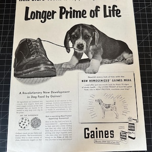 Vintage 1950s Gaines Dog Food Print Ad