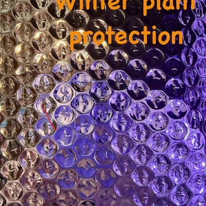 May include: Close-up of a clear, bubble-textured material with the words "Winter plant protection" in orange. The bubbles reflect light, creating a gradient of colors from gold to purple.