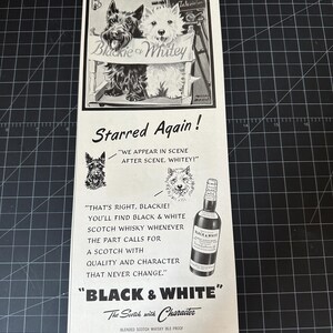 Black and white scotch whiskey dogs - Etsy 日本