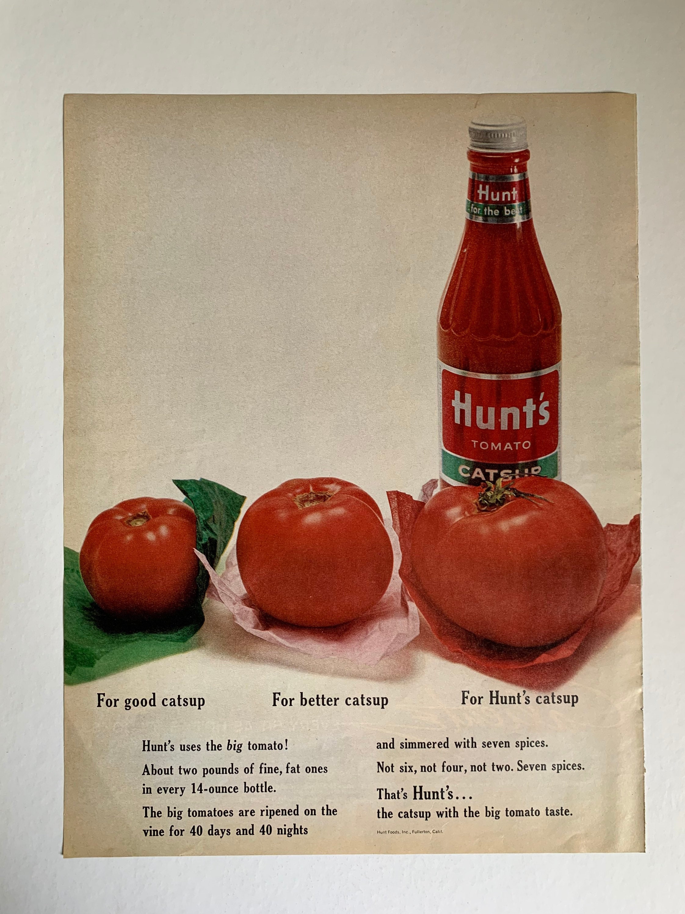 Hunts Ketchup Logo