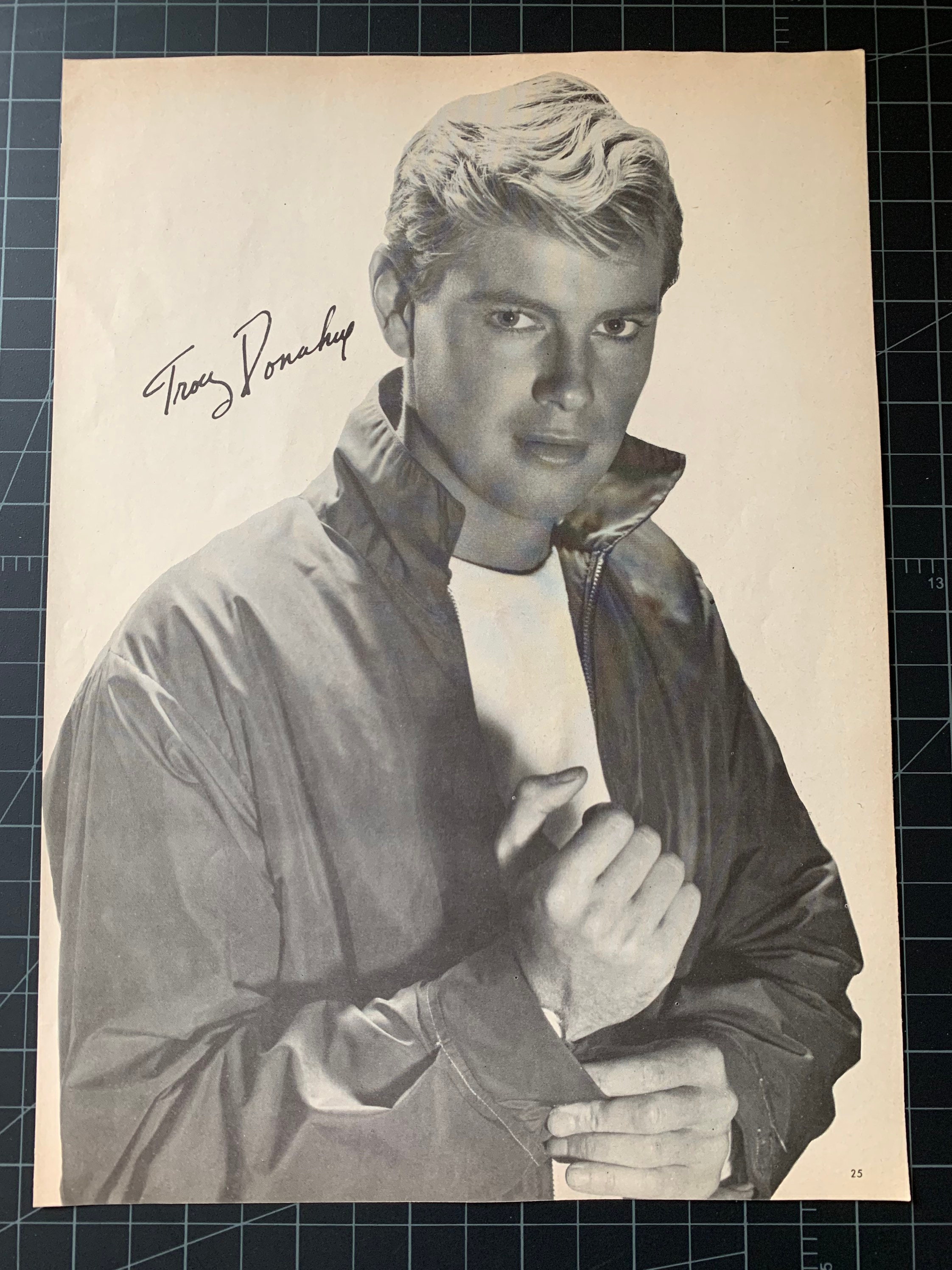 Troy Donahue Death lupon.gov.ph