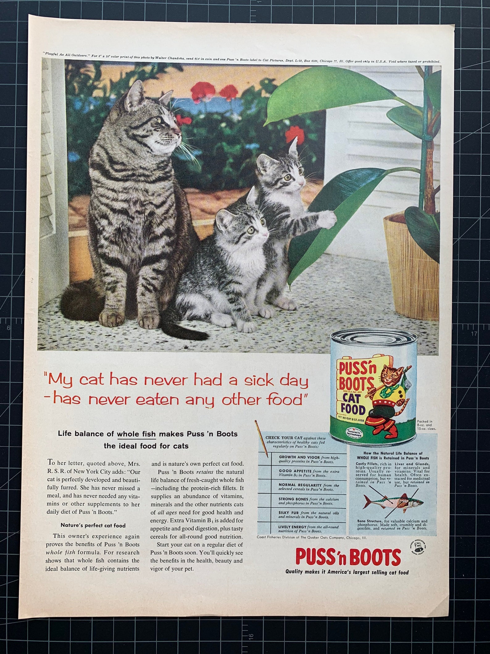 Vintage 1958 Puss n Boots Cat Food Print Ad Etsy