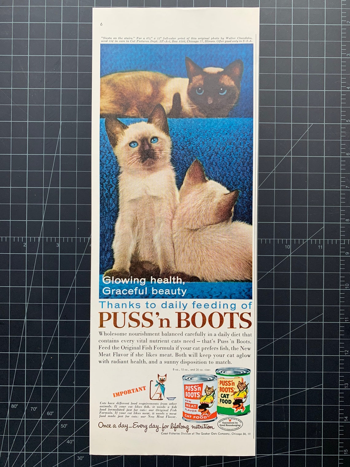 Vintage 1961 Pussn Boots Cat Food Print Ad Etsy