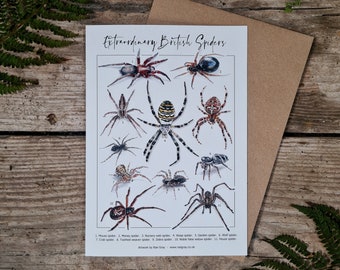 A5 greeing card: Extraordinary British Spiders