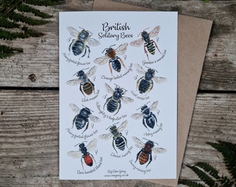 A5 Greeting Card British Solitary Bees Nature Wildlife