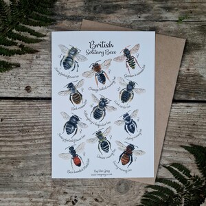 Carte de voeux A5 Abeilles solitaires britanniques Nature Faune