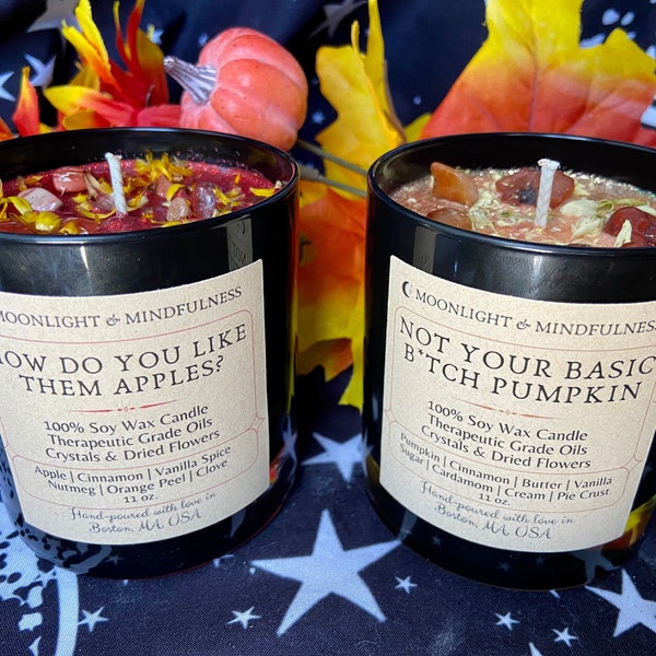 Fall Soy Wax Crystal Candle, Autumn Scents, Halloween Jar Candle, Cozy Pumpkin Spice, Apple, Spooky Season, Vanilla, Hand-Poured, Fall Gifts