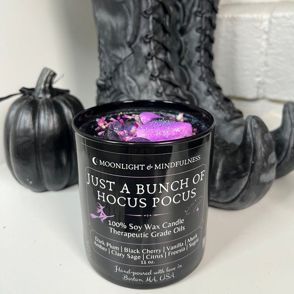 Just a Bunch of Hocus Pocus Candle, Special Edition Hocus Pocus Movie, Witchy Gifts, Soy Wax Crystal Gem Candles, Put a Spell on You, Purple