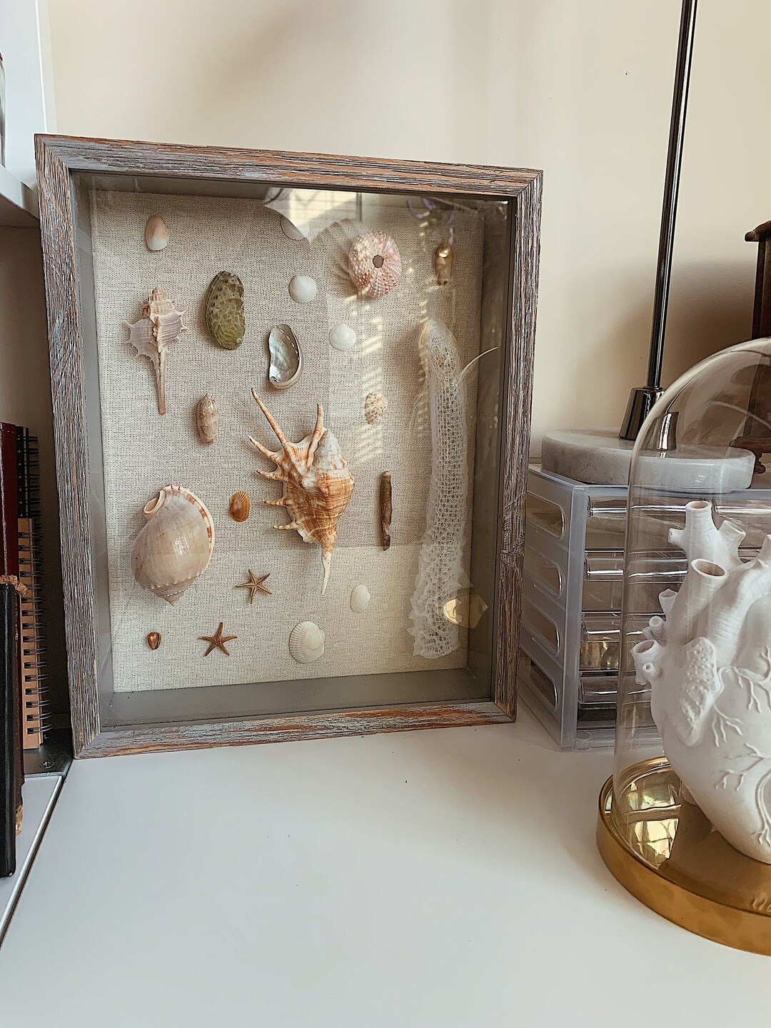 Seaside Wonder Nautical Shadow Box Seashell Display Sea Etsy