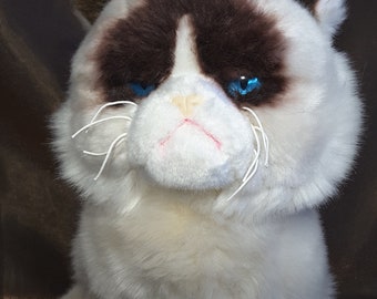 Plushie Popular Cat By Gund Limited Edition