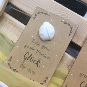 Glückwunschkarten Raysin Marienkäfer Glücksbringer Handarbeit Geburtstag Geschenk Dekostein Geschenk Kleine Aufmerksamkeit Neuanfang