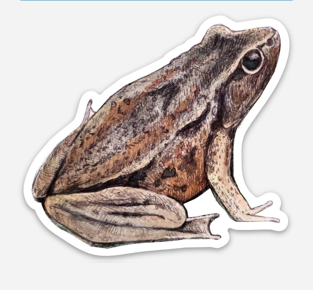 Red Leg Sticker Red-legged Frog Sticker - Etsy