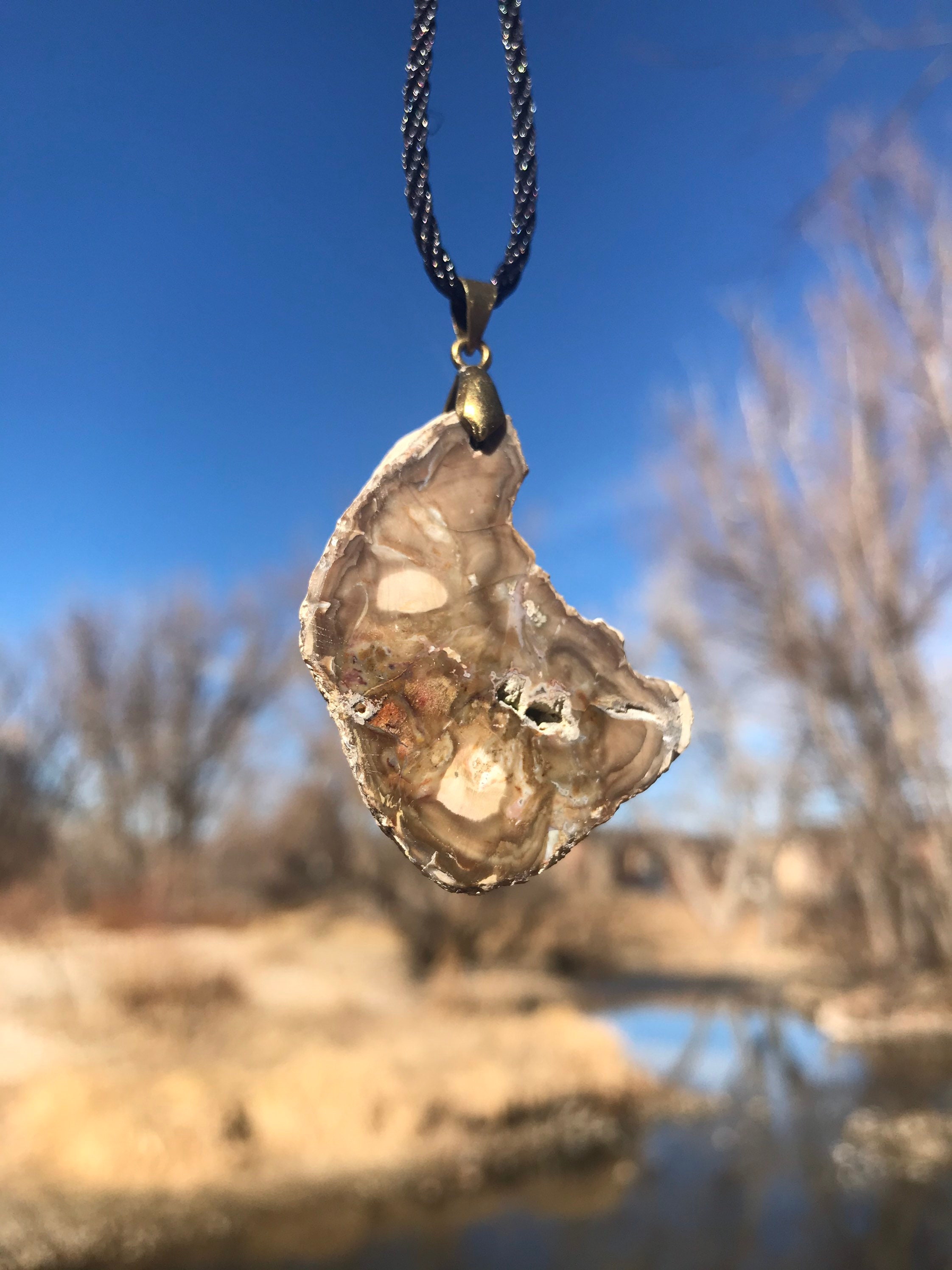 petrified wood jewelry
