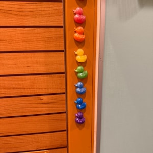 Cruise Ducks, Magnetic Resin Duckies, approx 1 inch, custom colors available