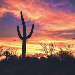 Southwest Wall Art, Fiery Arizona Sunset, Saguaro Cactus Print, Desert Silhouettes, Fire in the Sky, Ocotillo, Saguaro National Park, AZ