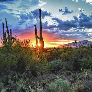 Southwest Sunset Print, Saguaro Cactus, Sonoran Desert, Arizona Sunset, Tucson, Southwest Wall Art, Desert Photography, Catalina Mountains