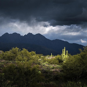 Saguao Cactus Print, Four Peaks Arizona, Sonoran Desert Landscape, Southwest Wall Art, Rain clouds and sunshine, luster paper