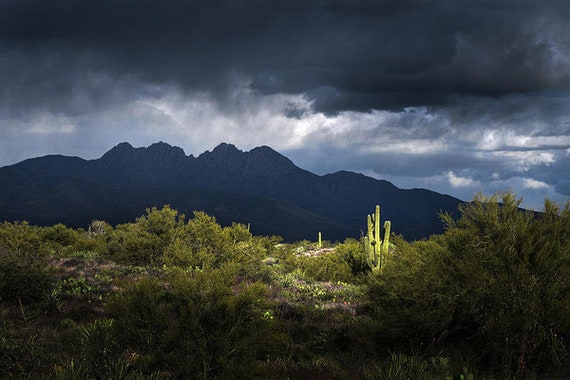 Saguao Cactus Print, Four Peaks Arizona, Sonoran Desert Landscape, Southwest Wall Art, Rain clouds and sunshine, luster paper