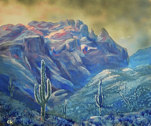 Pintura original de Tucson, Nieve del desierto de Sonora, Invierno de  Arizona, Finger Rock, Montañas Catalina, Cactus Saguaro, Arte Nevado, Arte  Original -  México