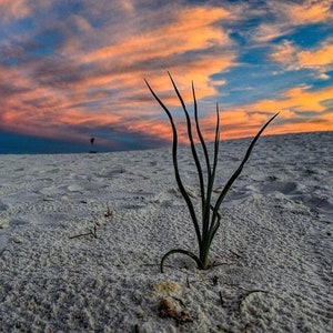 White Sands Print, New Mexico landscape, southwest sunset, sand dunes, White Sands National Monument, home decor, desert photo, wall art