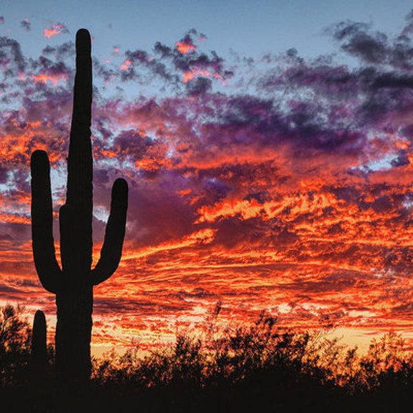 Arizona Sunset Print, Saguaro Cactus, Fine Art Photography, Tucson AZ Wall Art, Southwest Home Decor, Luster Paper, Canvas, Multiple Sizes
