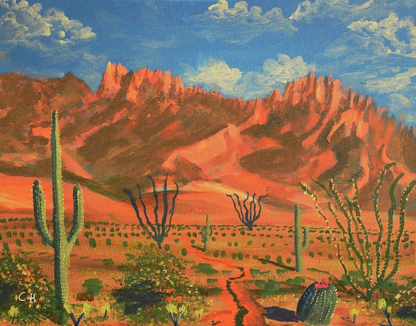 Arizona Wall Art, Catalina Mountains, Oro Valley, Pusch Ridge