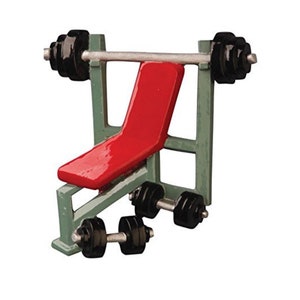 May include: A miniature weight bench with a red seat and a barbell with black weights. Two dumbbells with black weights are in front of the bench. The bench frame is a light green color.