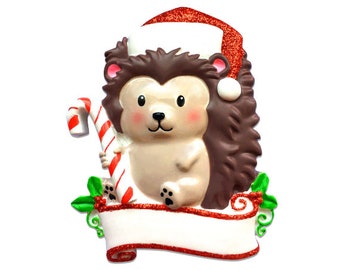 Personalized Christmas Ornament Child- Hedgehog/Candy Cane Hedgehog/Santa Hat Hedgehog