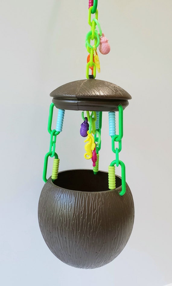 sugar glider coconut