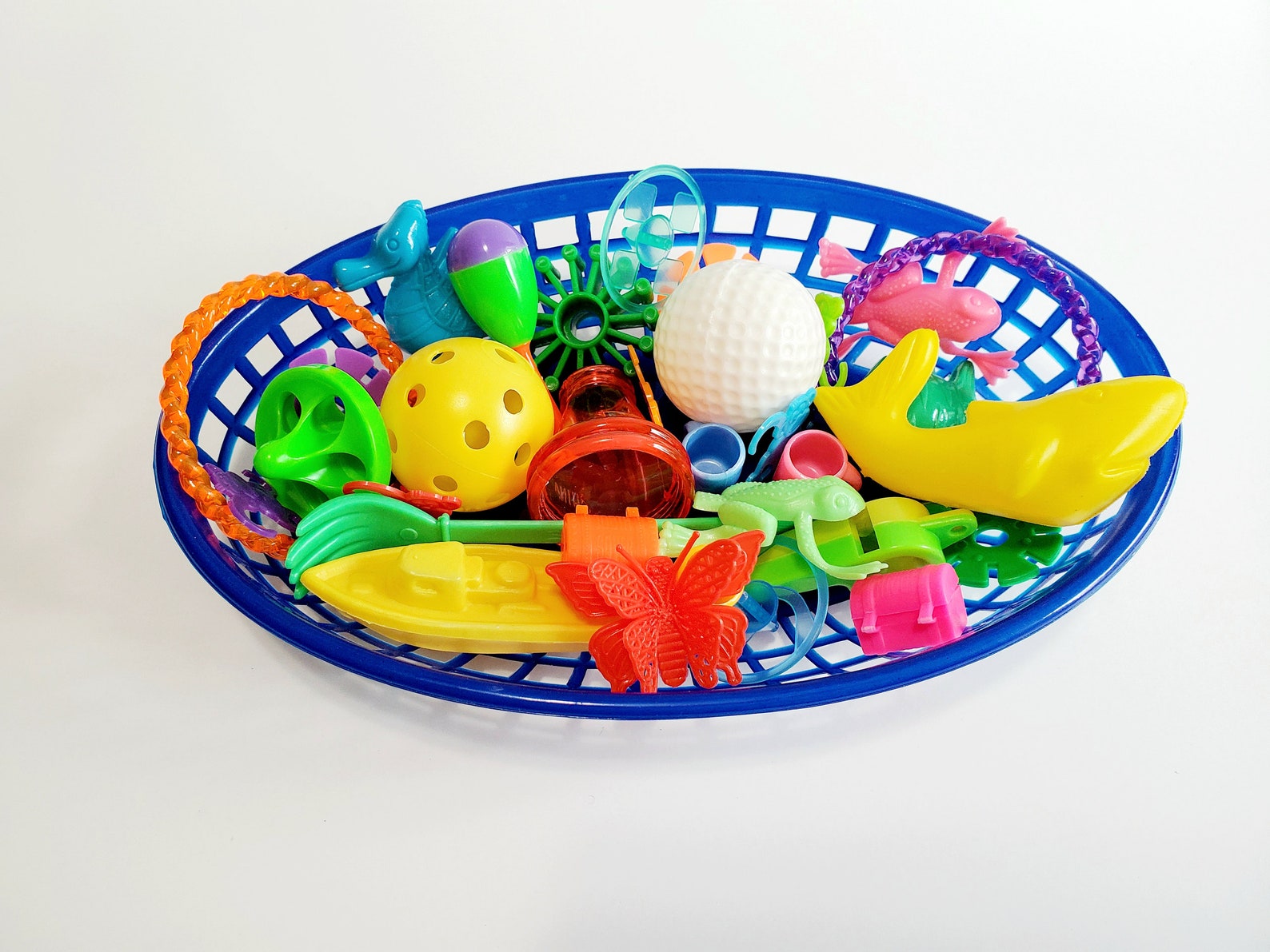 Deluxe Sugar Glider Toy Box Sugar Glider Toys Etsy