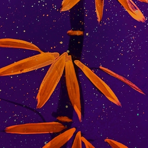 blacklight art: original hand-painted blacklight/uv neon bamboo (orange/black)