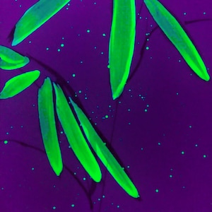 blacklight art: original hand-painted blacklight/uv neon bamboo (green/black)