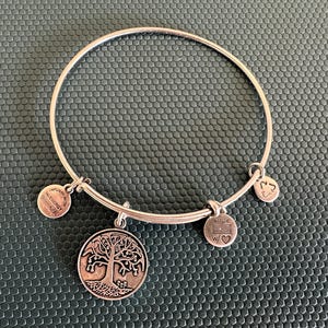 Alex and Ani Energy Silver Charm Bracelet from 2014 Made with Love in USA, Adjustable silver bracelet