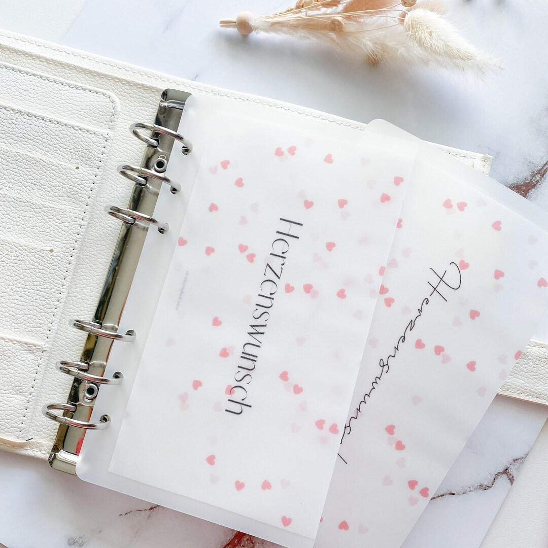 Budget Envelope | Transparent Envelopes With Frosty Design | Zipless ...