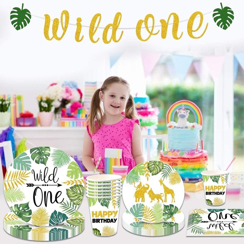 Wild One Birthday Party Supplies Disposable Tableware Set with Etsy