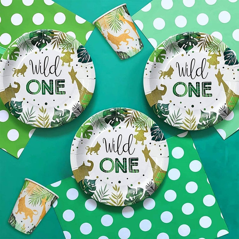 Wild One Party Supplies Birthday Decorations Wild One Etsy