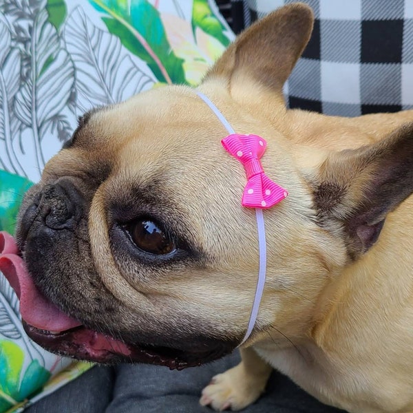 Mini Pink Polka-Dot Bow for Little Dogs - Tiny Dog Accessories  - Bulldogs & Bows