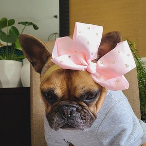 Over-the-Top Pink Dog Bow with Rhinestone Sparkle - French Bulldog Accessories - Bulldogs & Bows