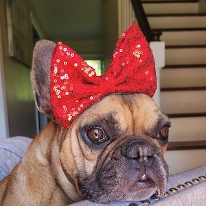 Red Dog Bows Big Etsy