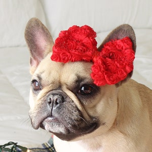 Big Red French Bulldog Bow - Adorable Puppy Headbands - Bulldogs & Bows