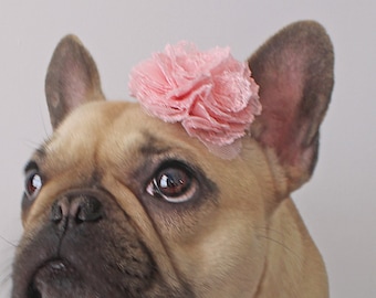 Soft Pink Puppy Flower Bow - French Bulldog Accessories - Bulldogs & Bows
