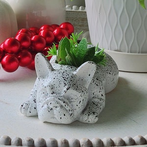 May include: White ceramic planter shaped like a sleeping French bulldog with black speckles. The planter is filled with a small succulent plant.