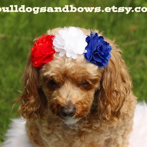 Patriotic Puppy Flower Headband - French Bulldog Accessories - Bulldogs & Bows