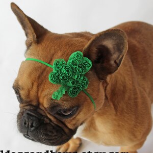 Puppy Shamrock Headband -  Saint Patrick's Day Green Shamrock Shape Bow for Dogs, Pets