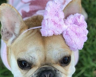 Bulldog headband hotsell